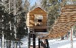 007_2009-0214-1247-23A.jpg